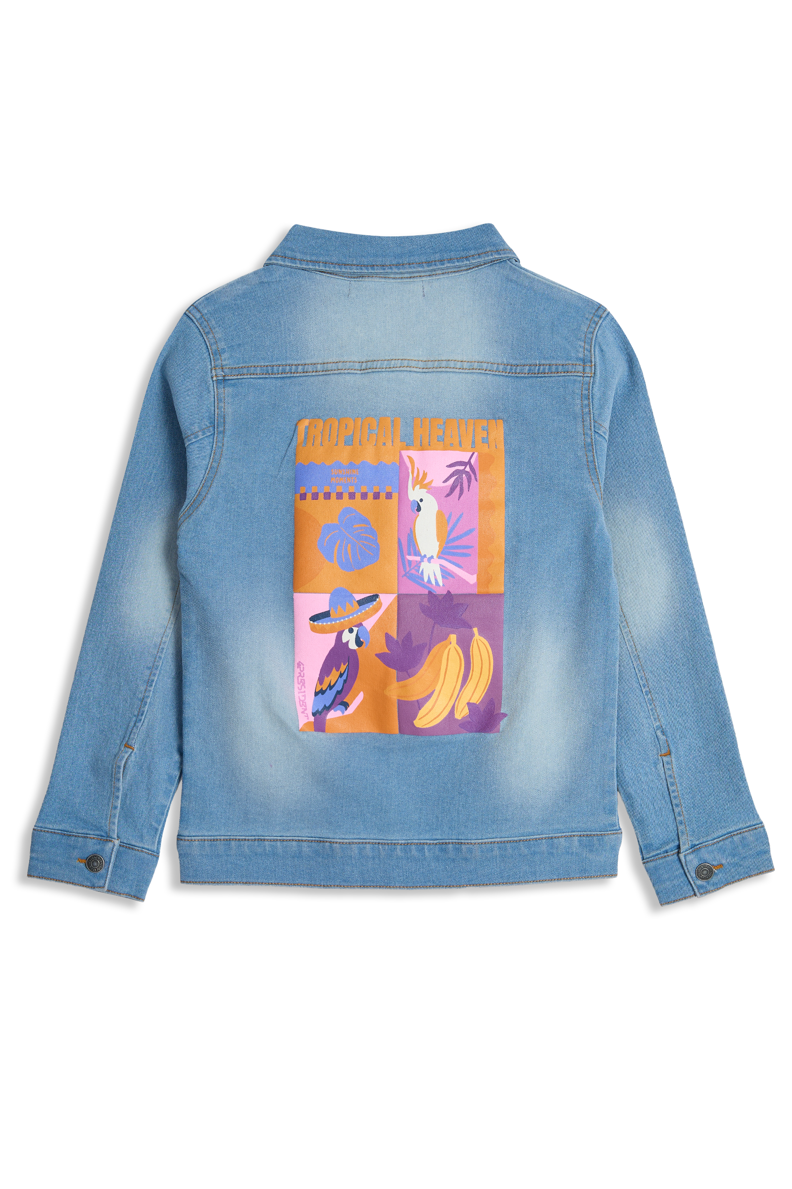 Norma Light Blue
