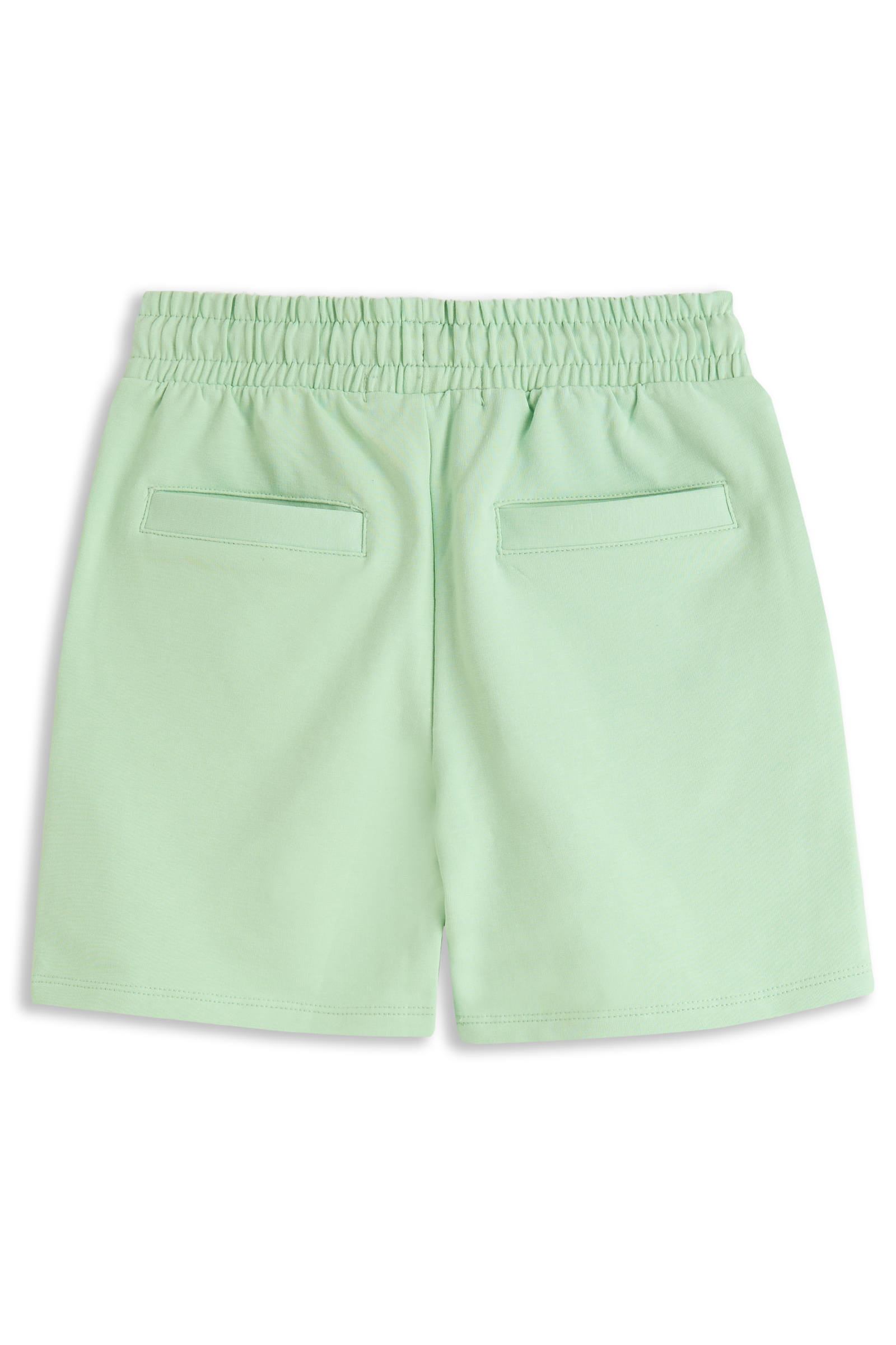 Brent Pastel green