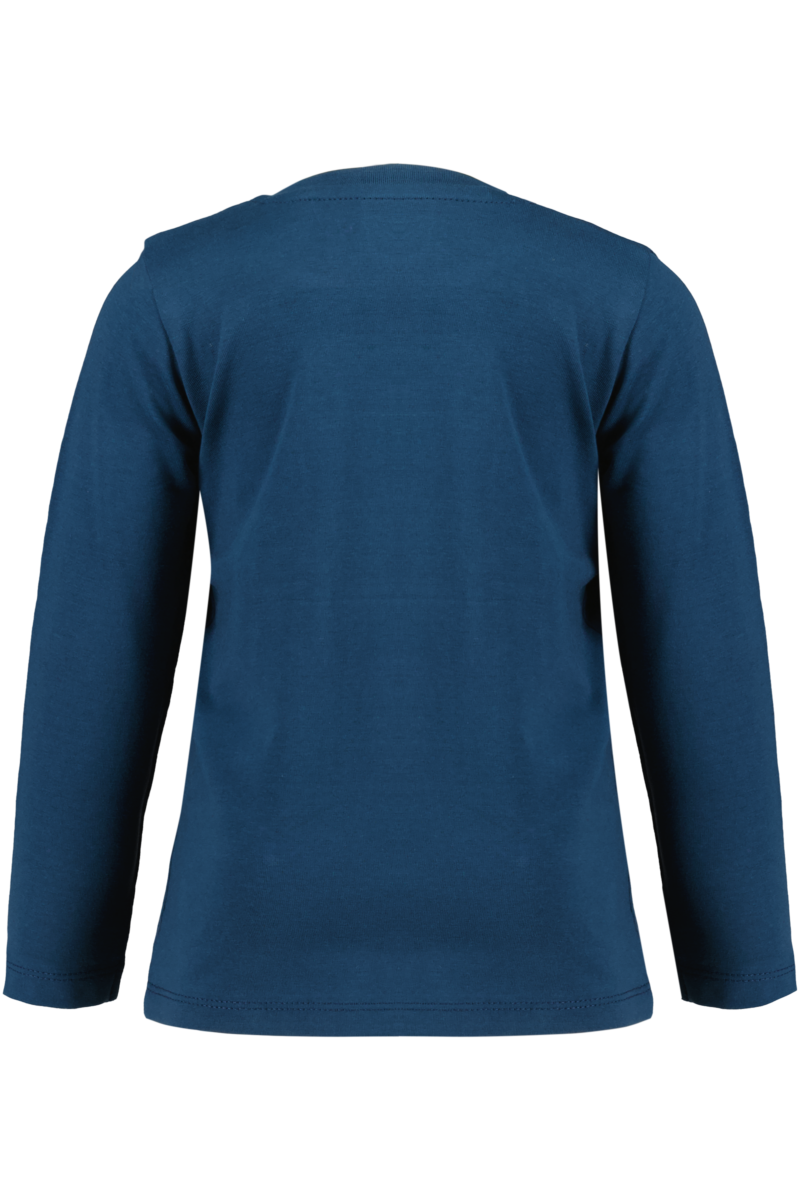 Kiana Blue Wing Teal