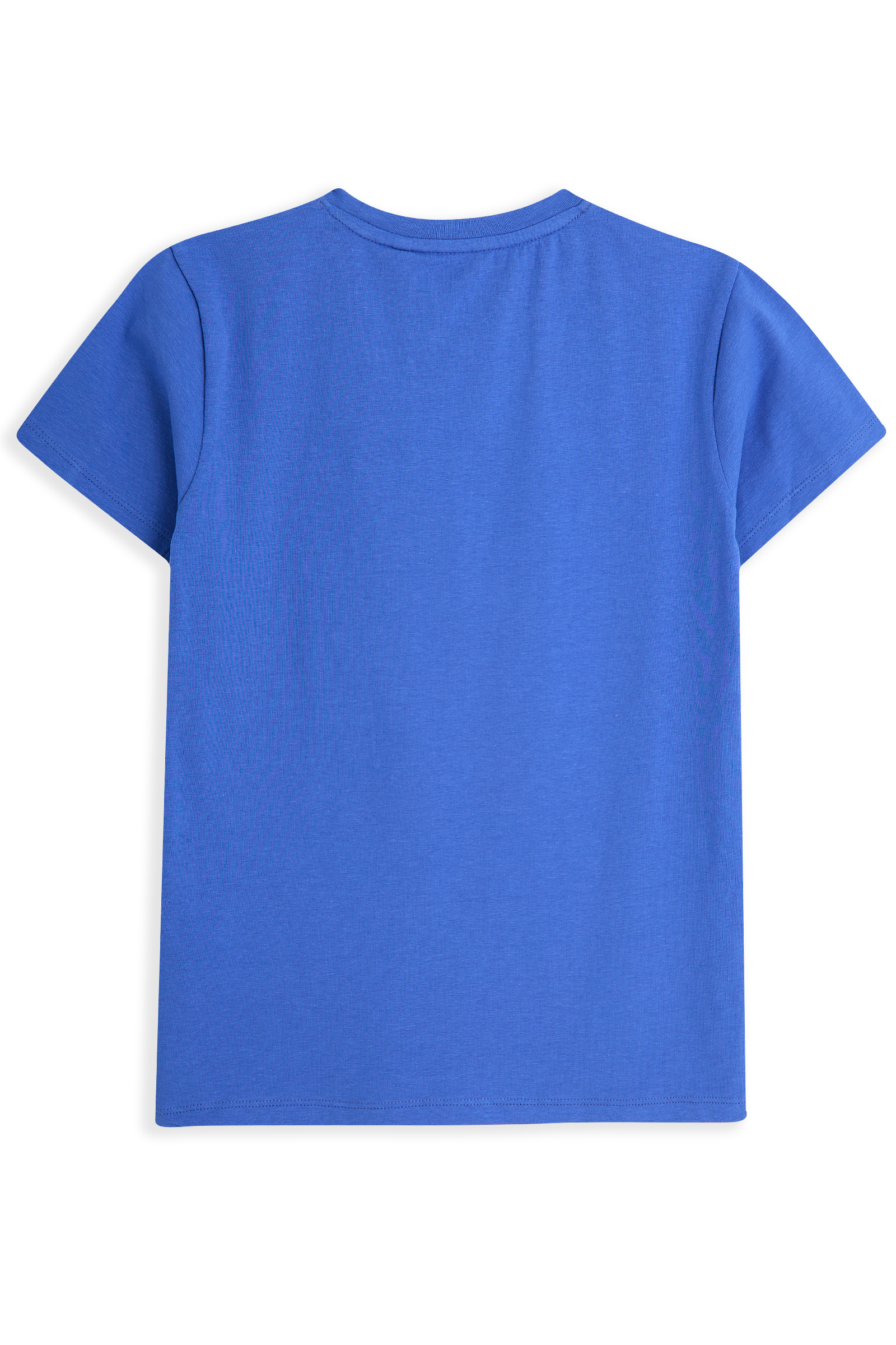 Palmer Blue