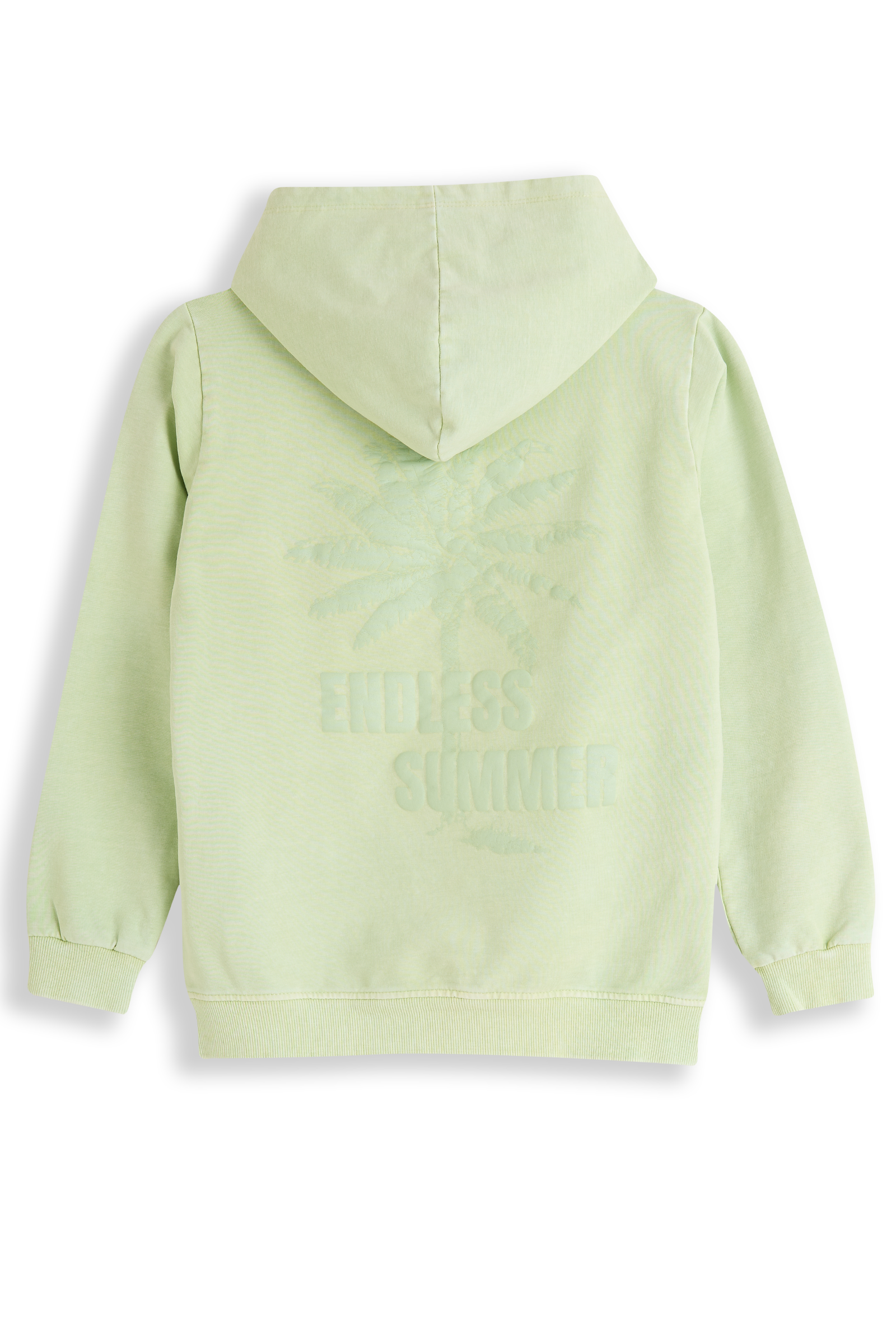 Ruben Pastel green