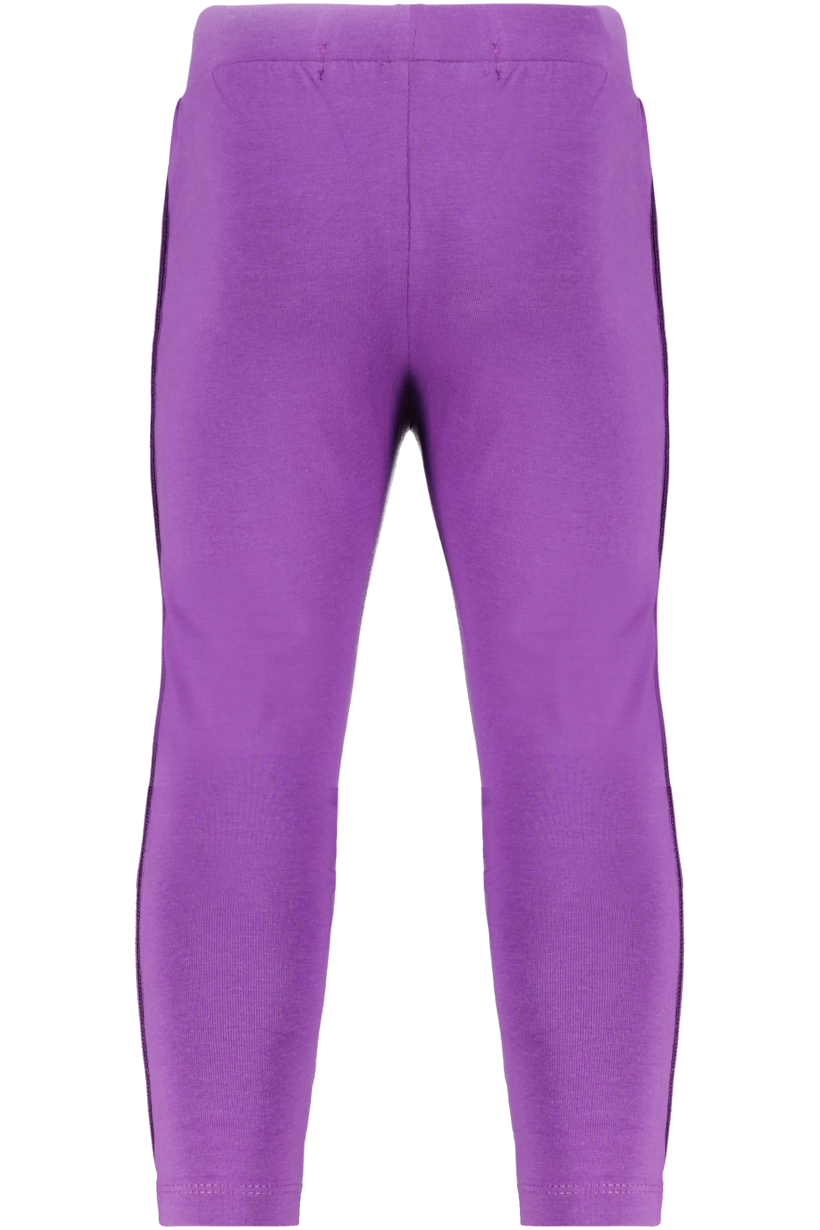 Regina Patricia Purple