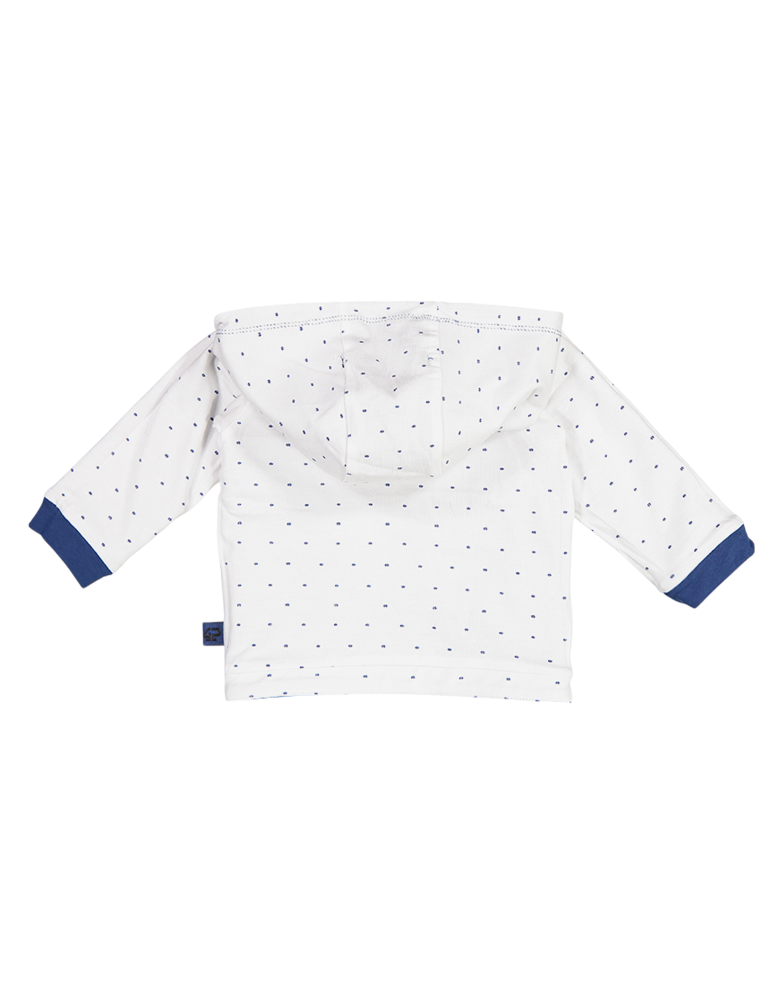 Taylor Navy AOP