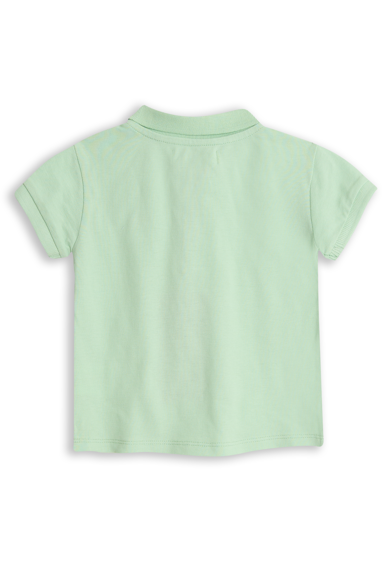 Dex Pastel green