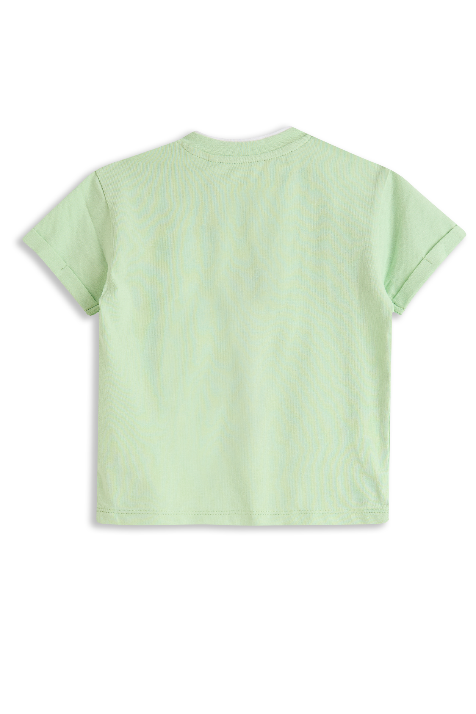 Dylan Pastel green