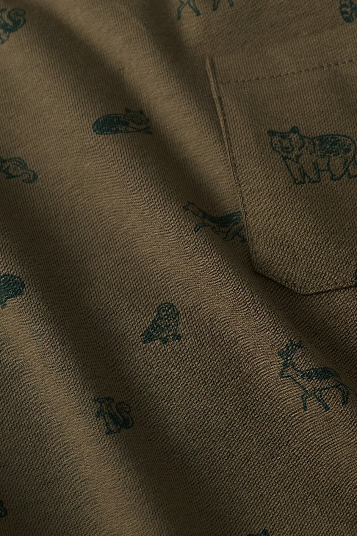 Fons