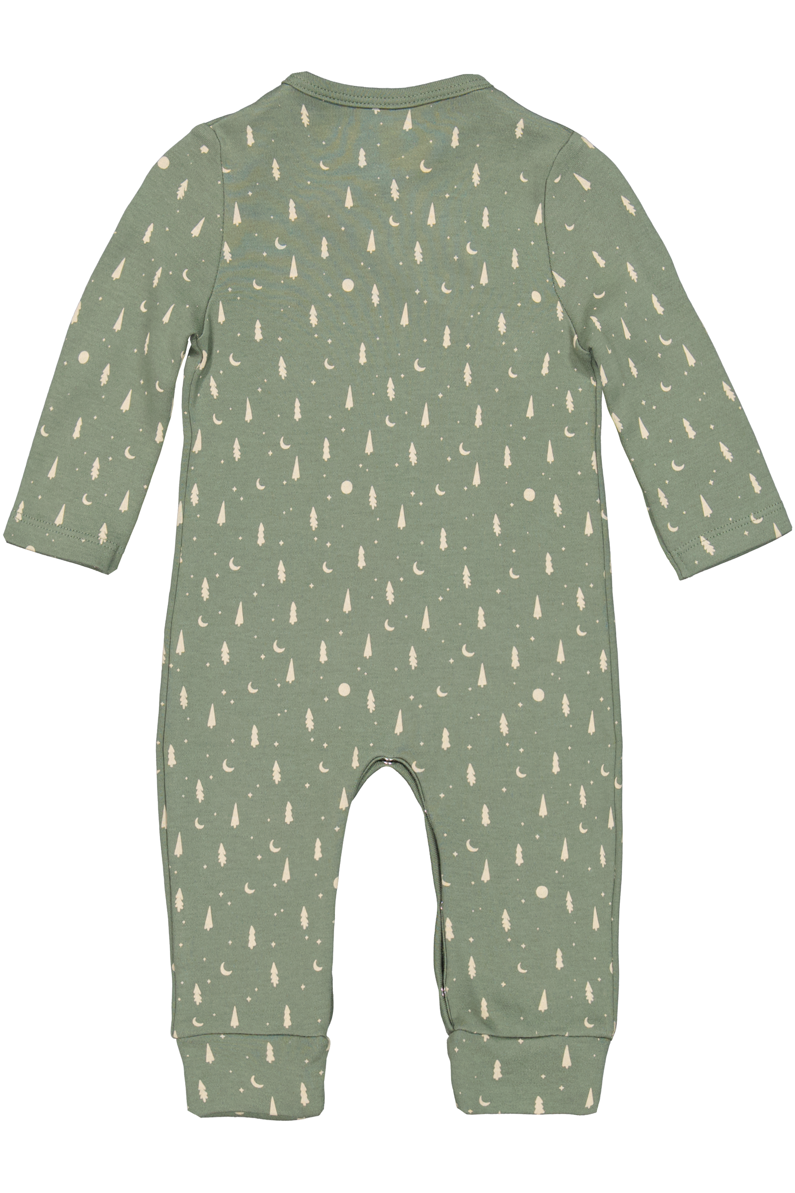 Jaimy Agave Green Aop