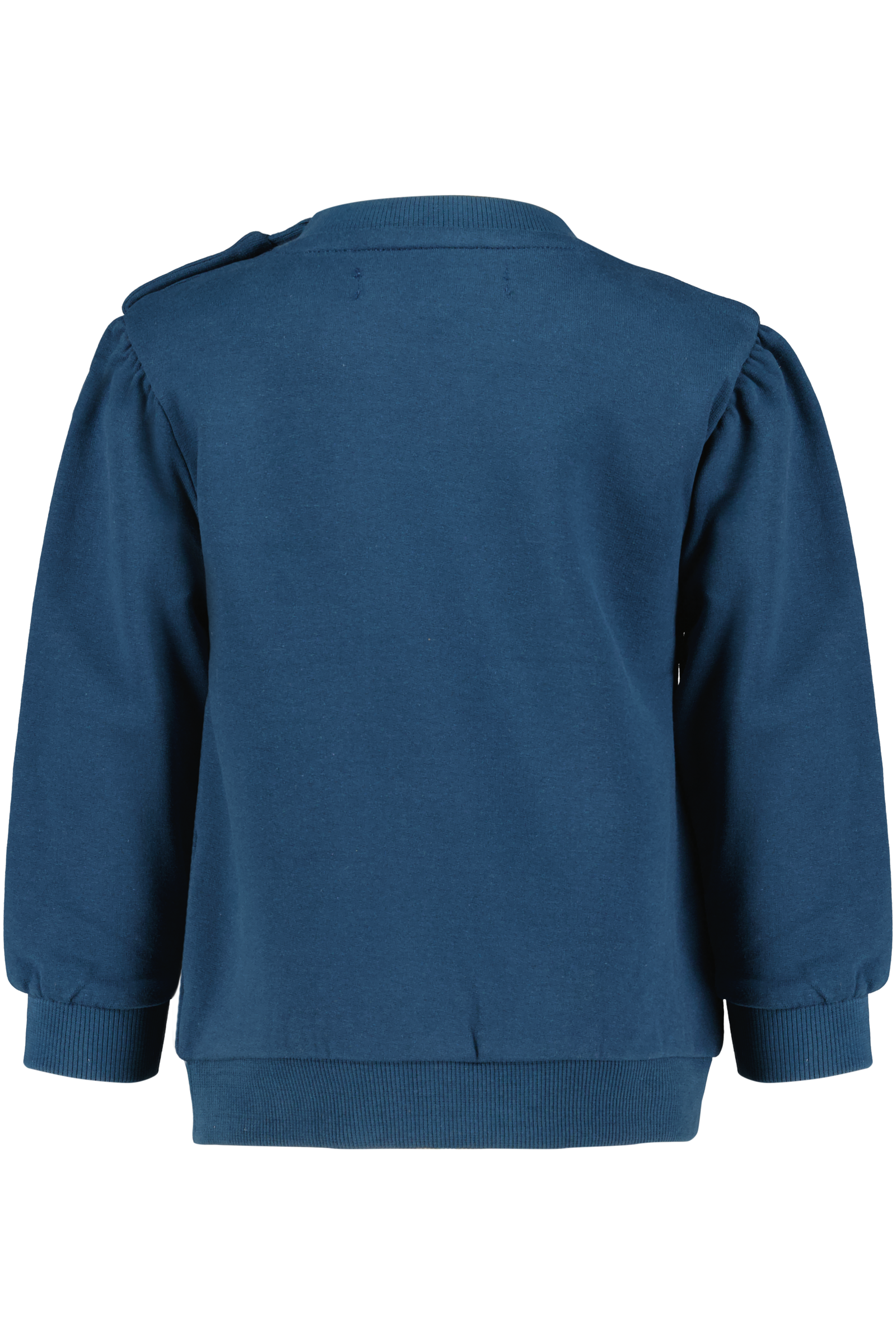 Kate Blue Wing Teal