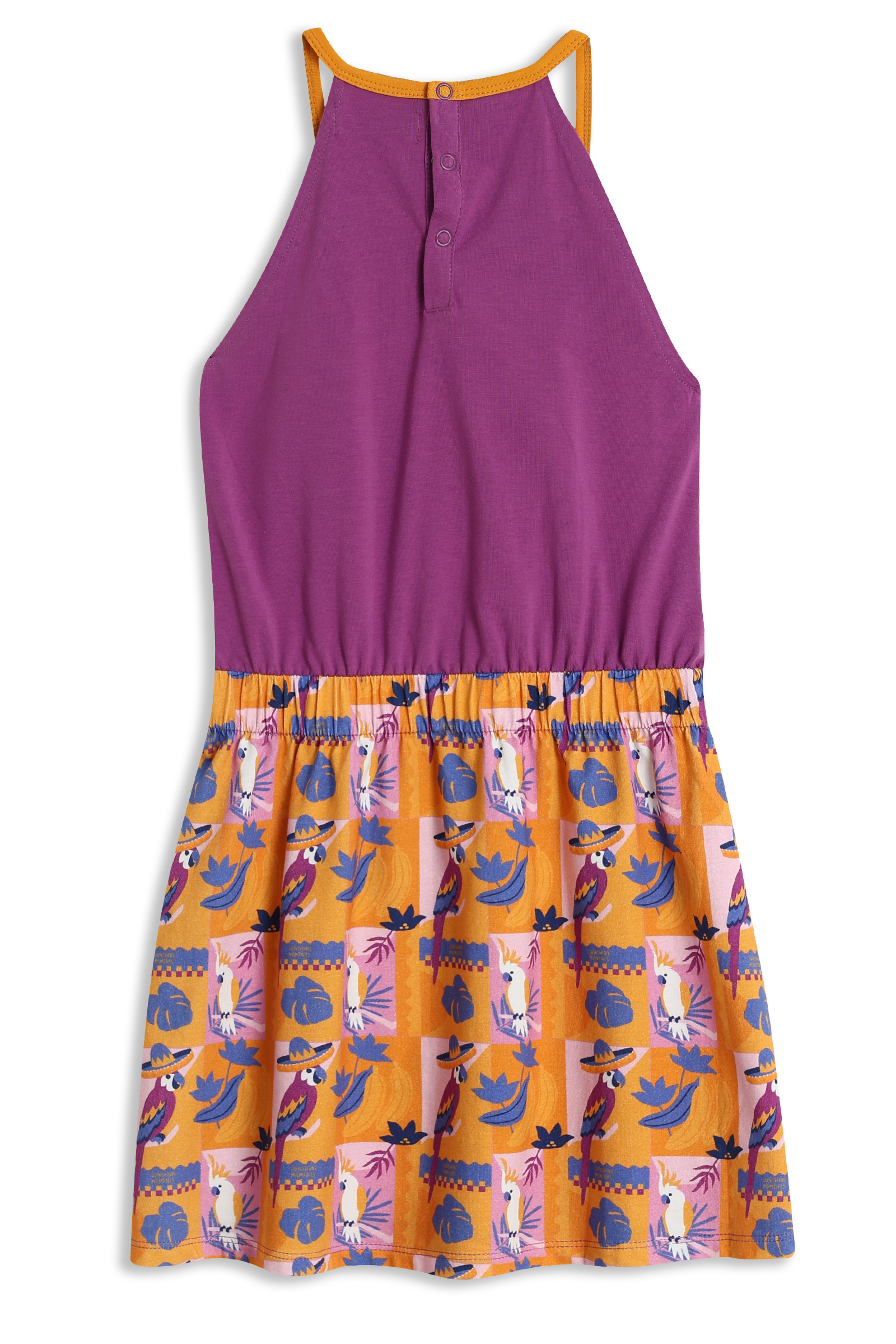 Nia Purple