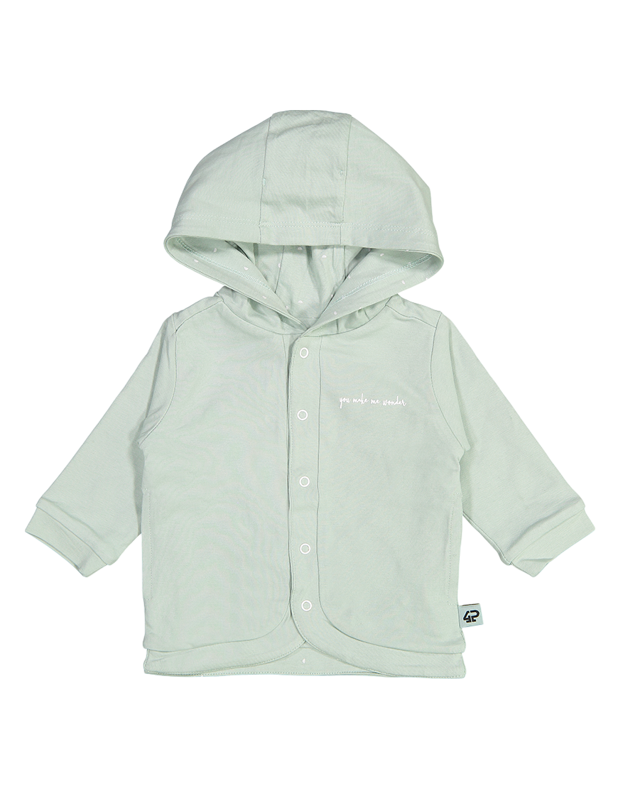 Taylor Grey Mint AOP