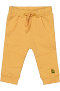 Levi