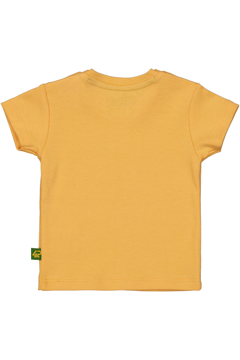 Lex Buff Orange