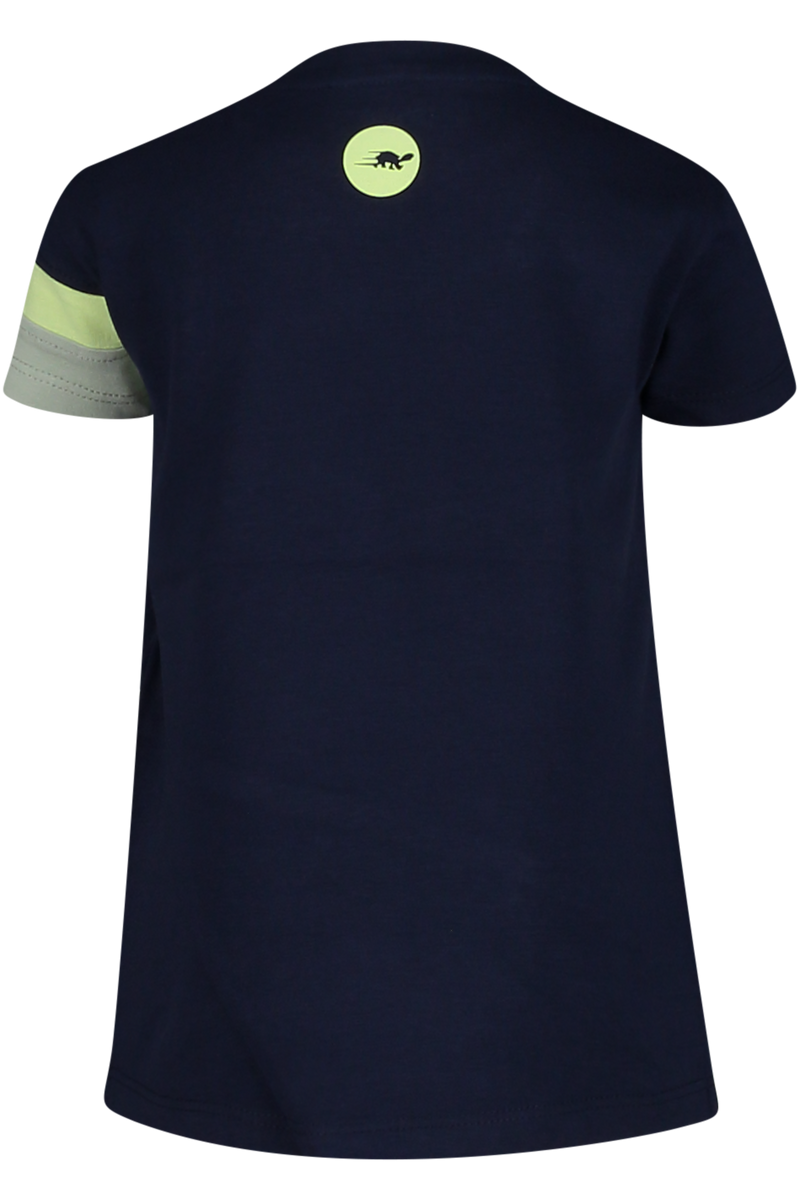 Roy